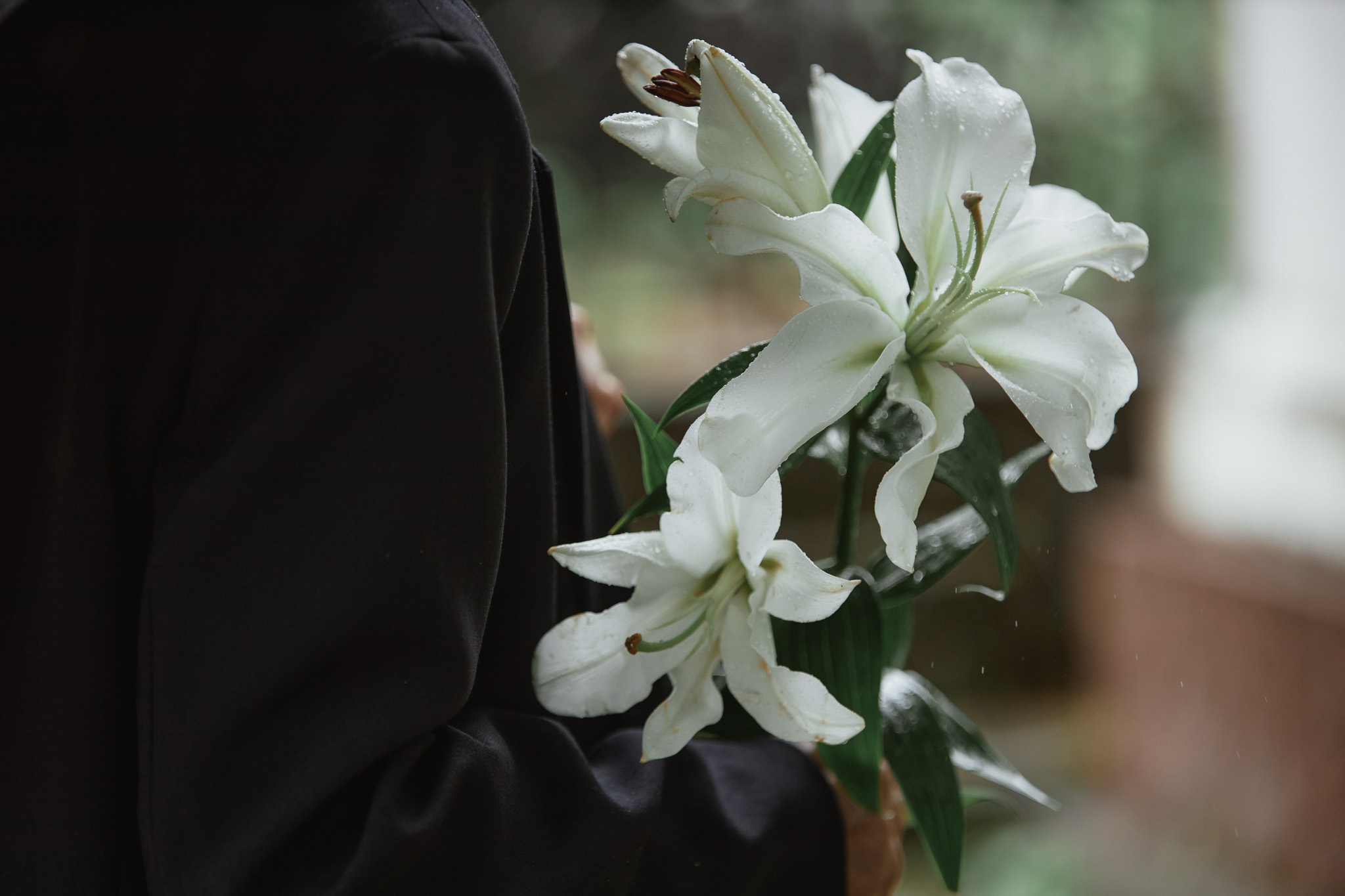 user selected image