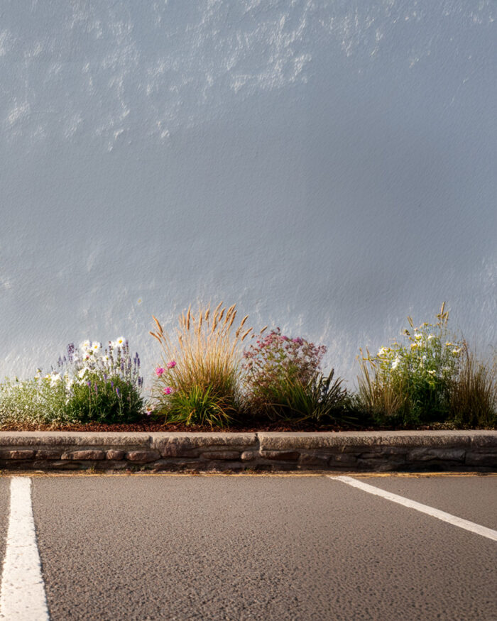Empty on-street parking bay with white painted lines, bordered by a small flowerbed and a clean white wall.